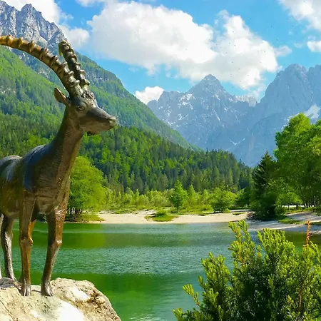 Alpine Planica With Sauna - Happy *