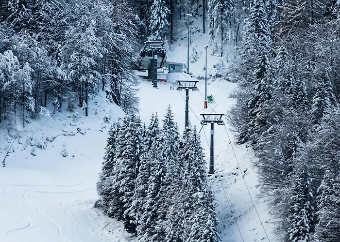 Apartment Alpine Planica With Sauna - Happy *